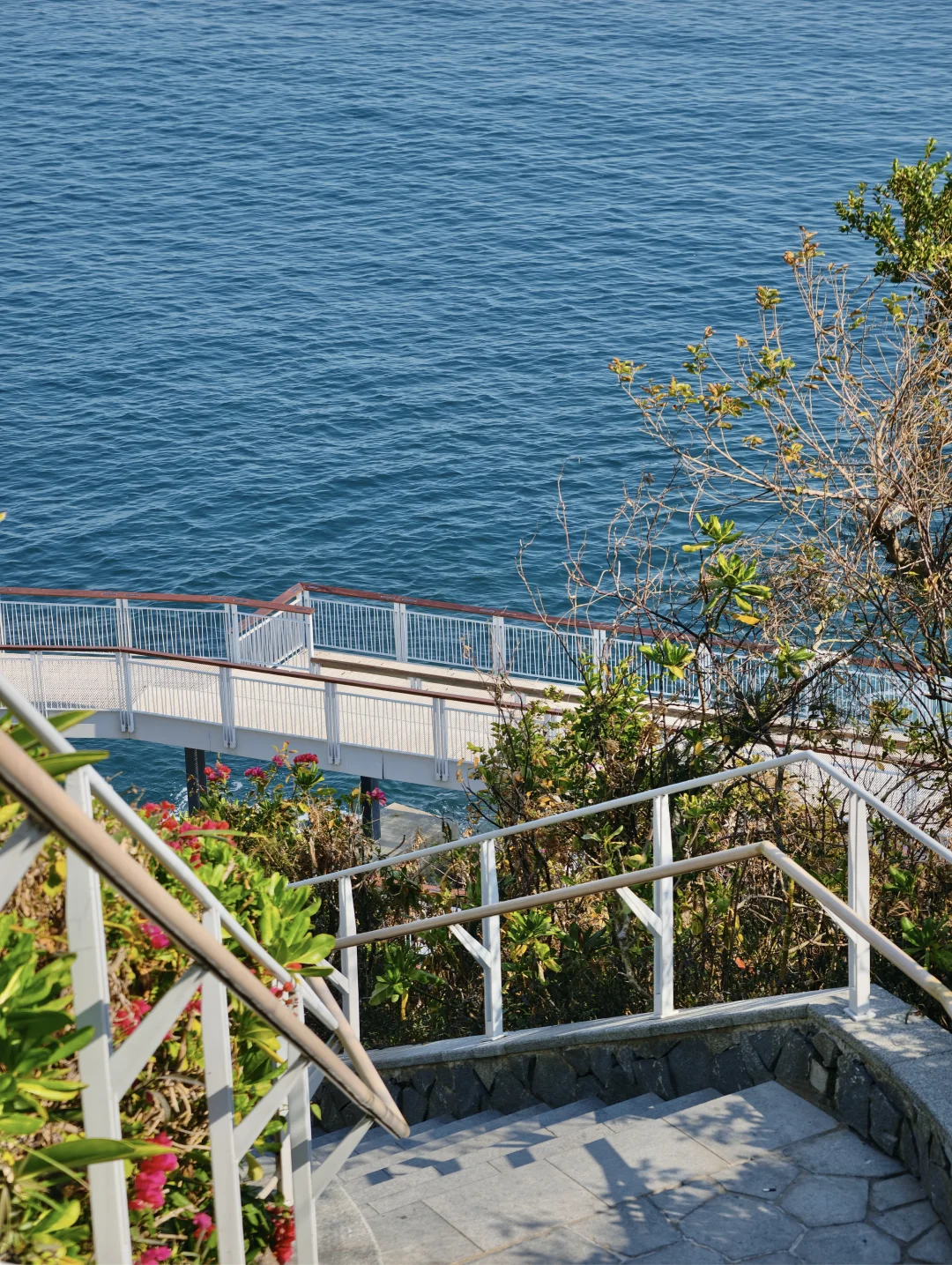 一个人去大梅沙看海了➡️来走懒人精华路线