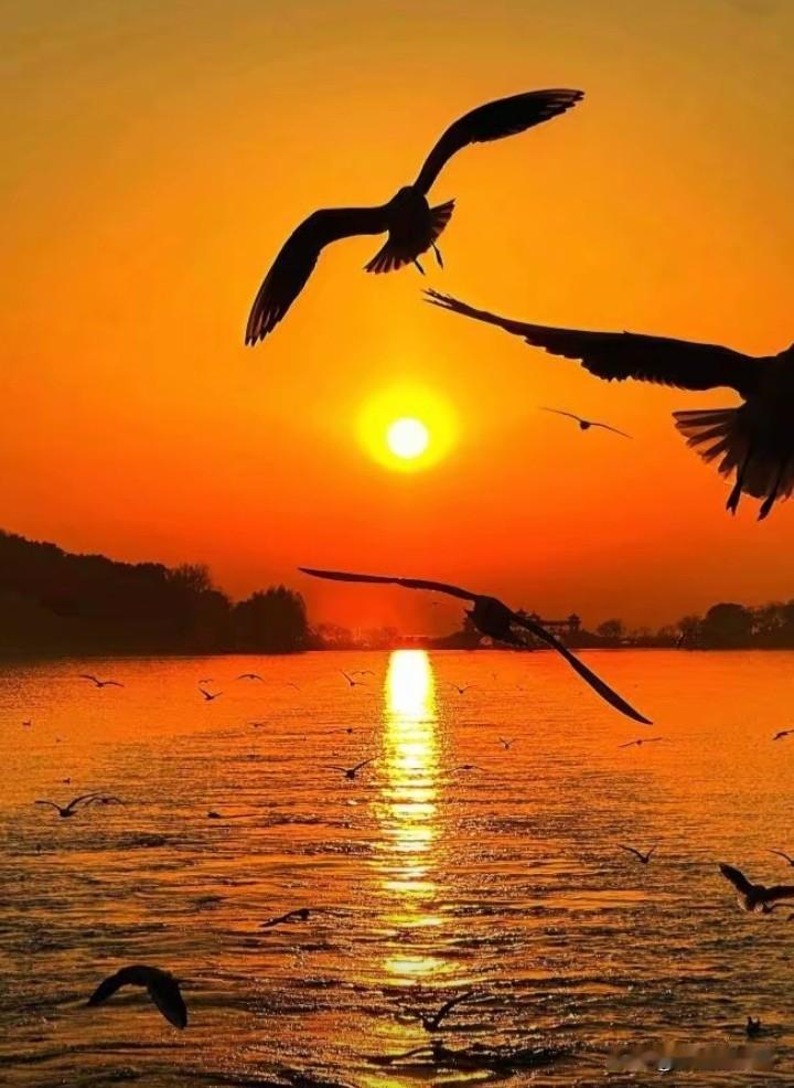 晒出你相册中的夕阳夕阳无限好，只是近黄昏！