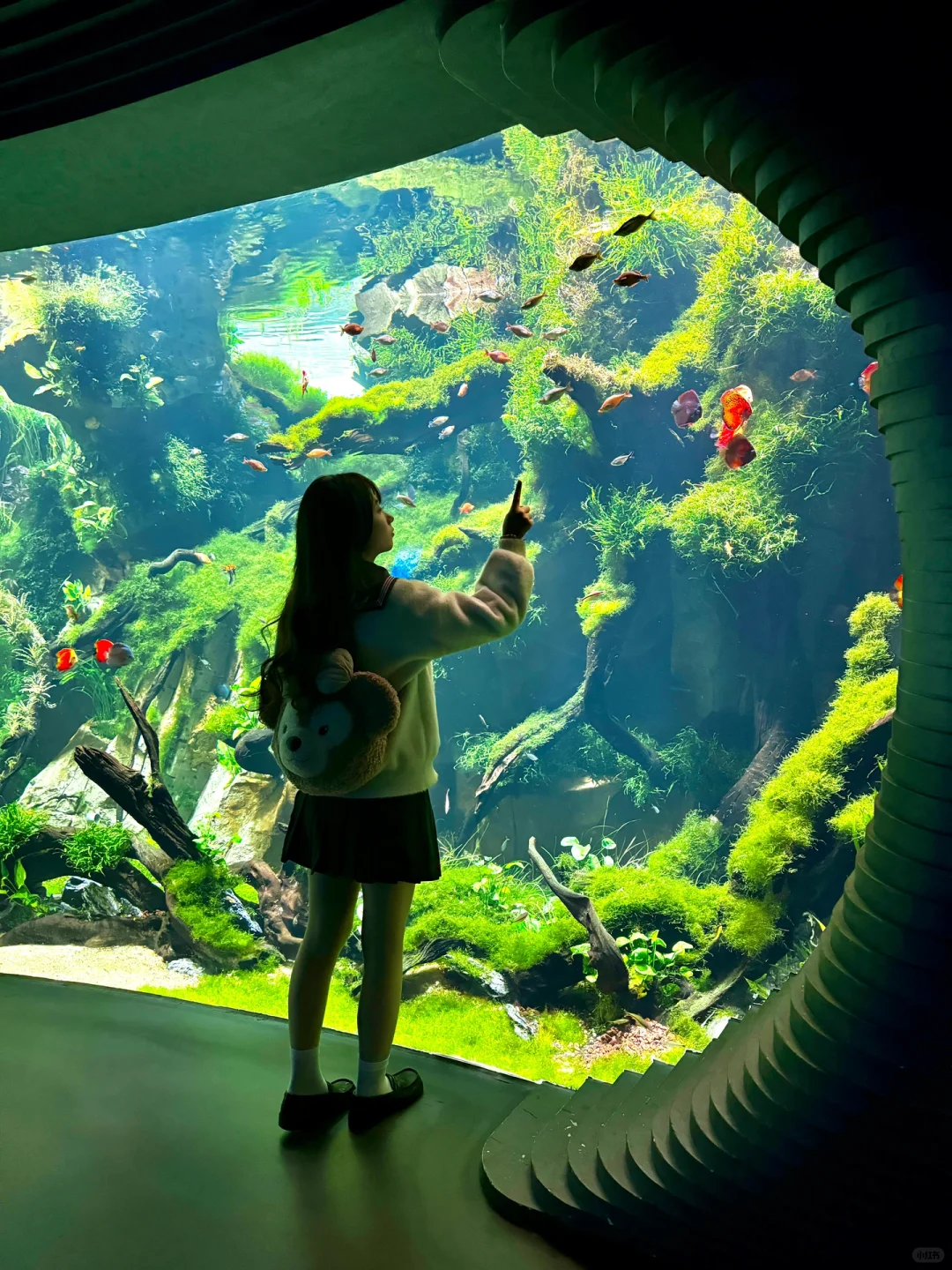 为了这扇窗，我特地飞了一趟上海…🐠