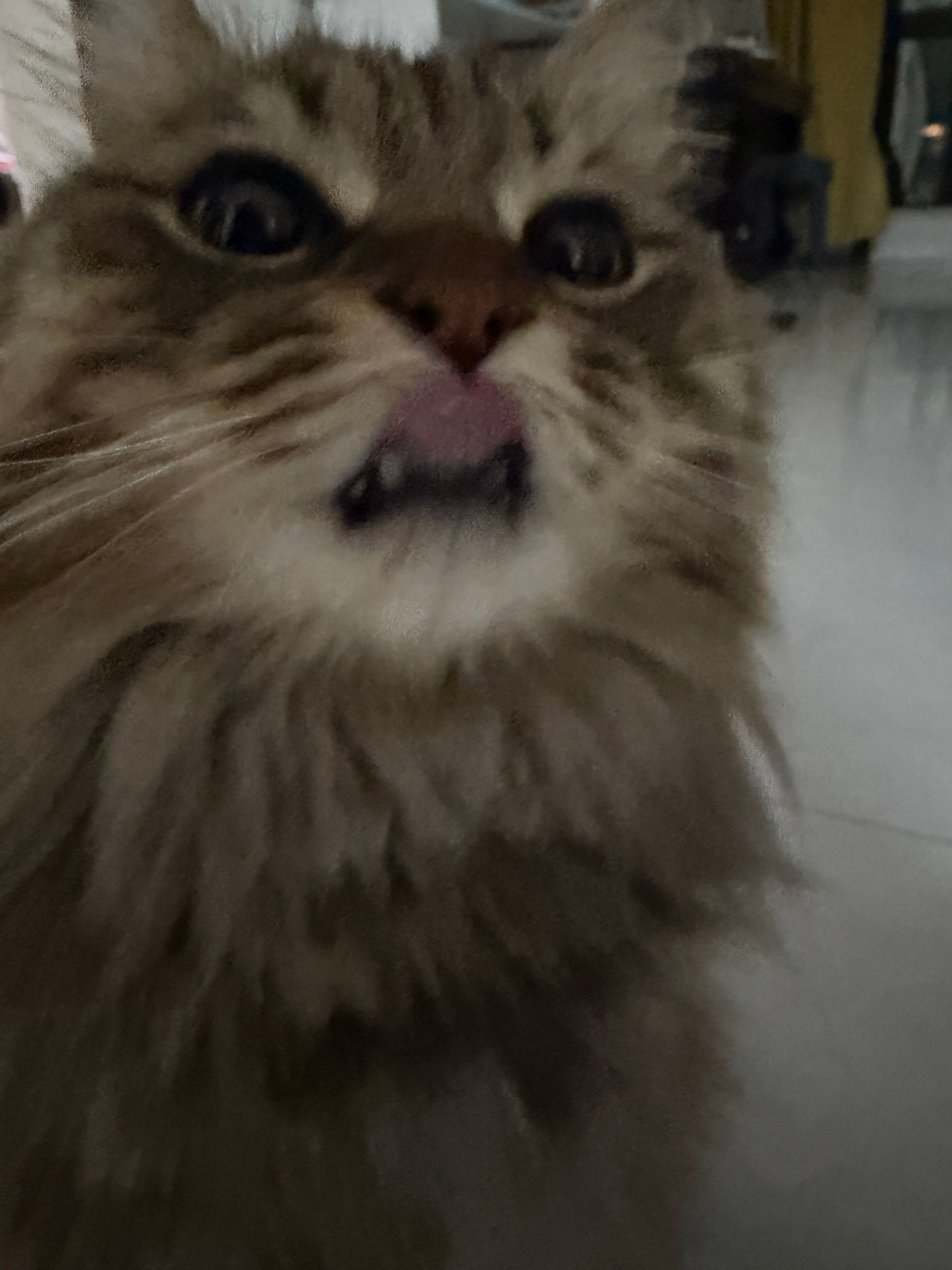 介个小嘴胶粘 