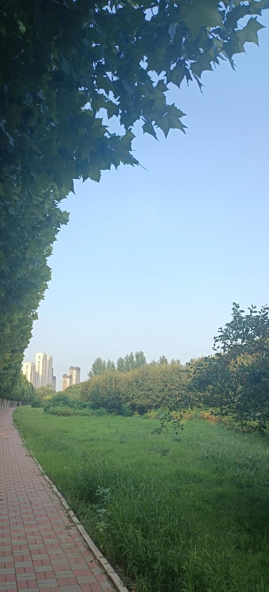G7集团明确叫嚣道，中国不能援助俄罗斯，不能轻易解决台湾问题，也不能限制稀土出口