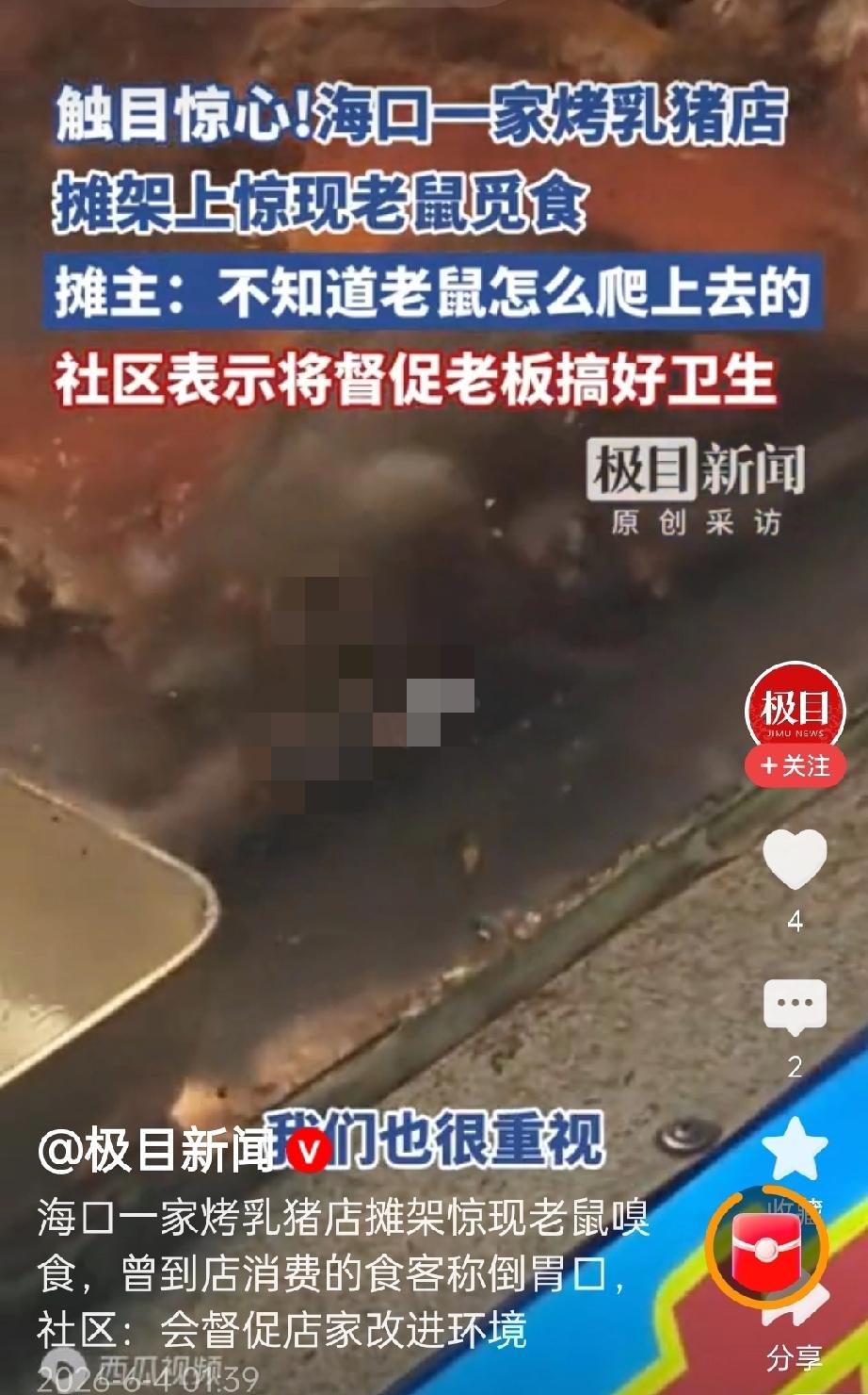 【海口海垦街烤乳猪店惊现老鼠爬食物架，店主竟说“周边环境就这样”】

6月3日，