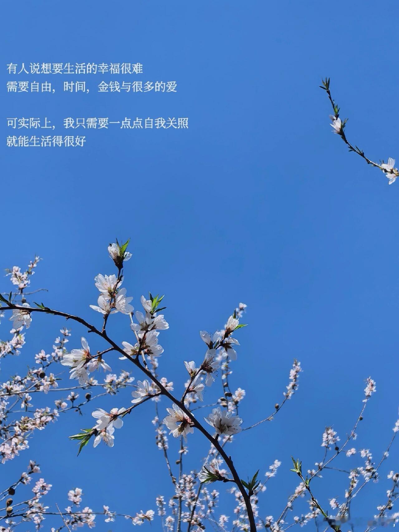 不必因为他人的评价自我怀疑，陷入无尽内耗；不必因为共情过度，反省是不是自己不够好