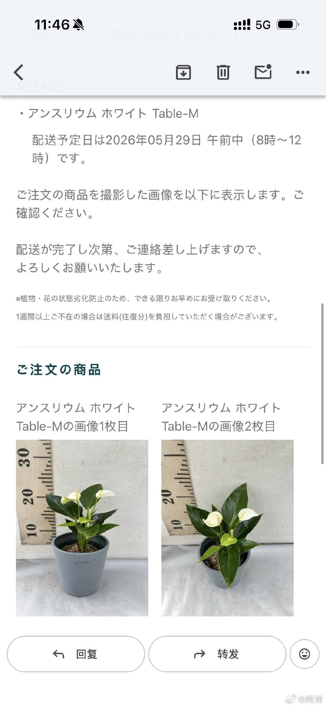 网上买的花花，配送之前会给看照片 