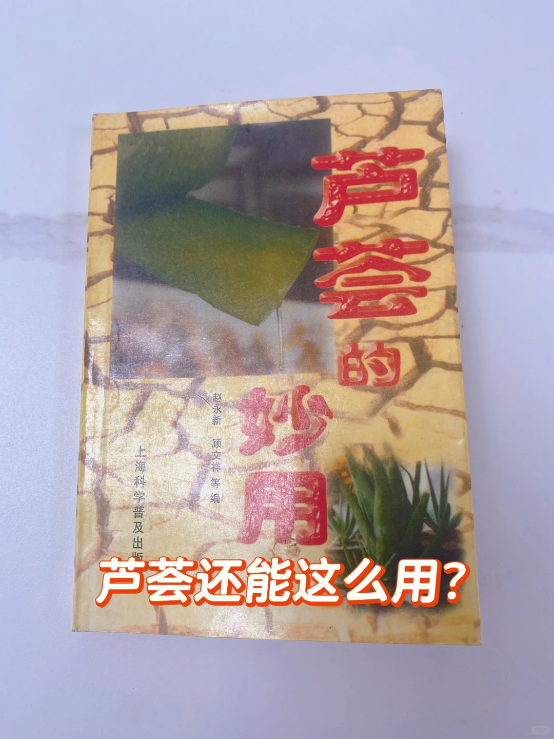 芦荟还能这么用❓涨知识了！