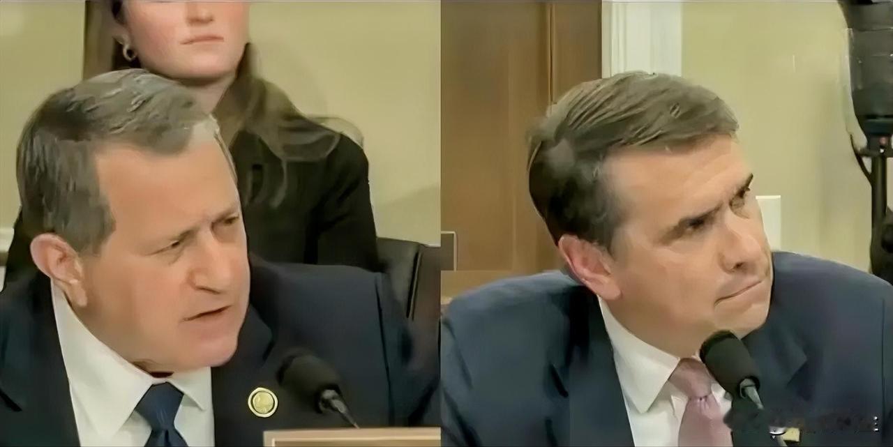 美国纽约州众议员乔·莫雷尔:“你的证词是说，如果有人花100万美元向总统买赦免，