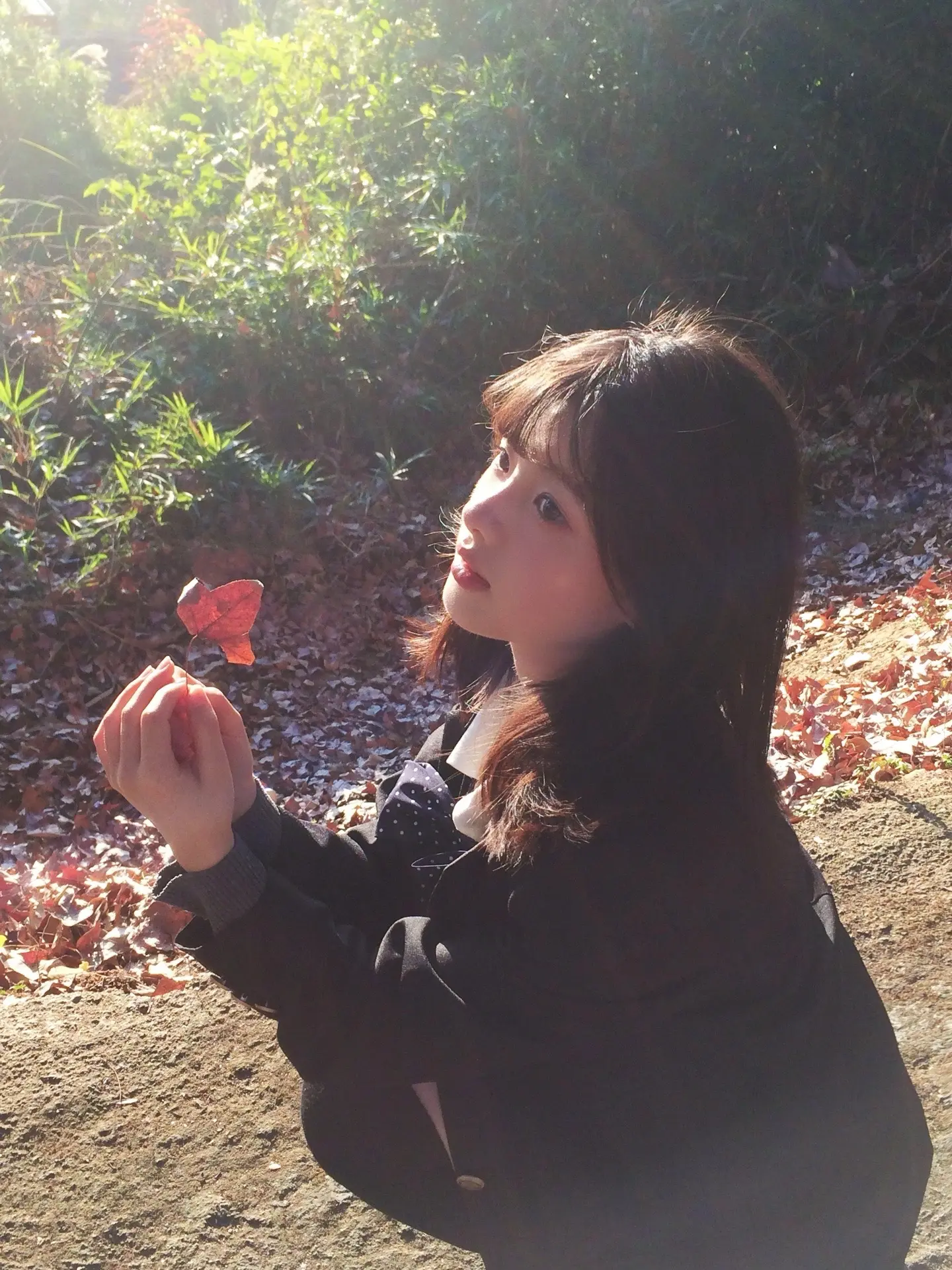 大家好 我是一具学生·‿·