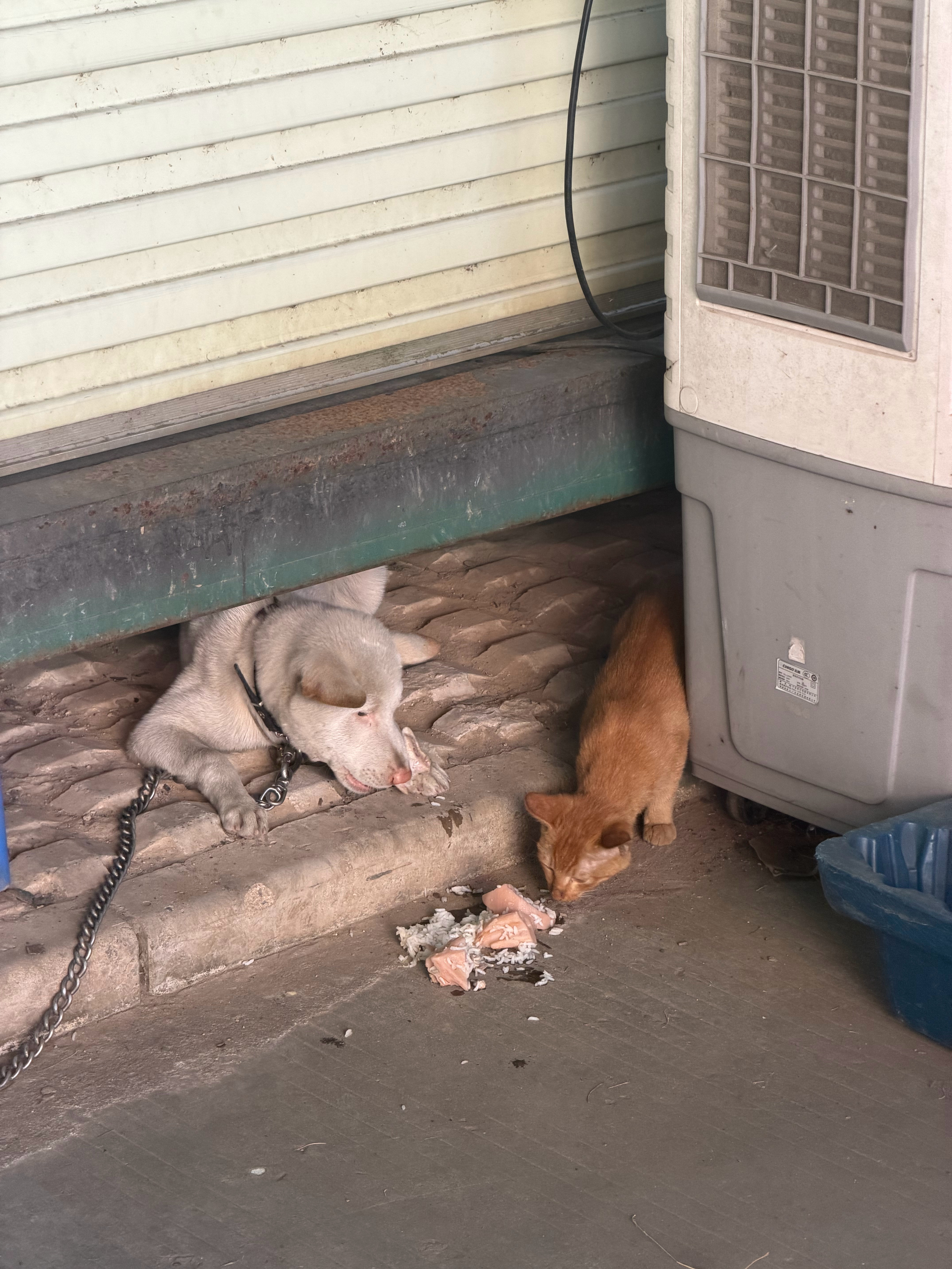 一开始还以为自己看到了温馨一幕 ​​​