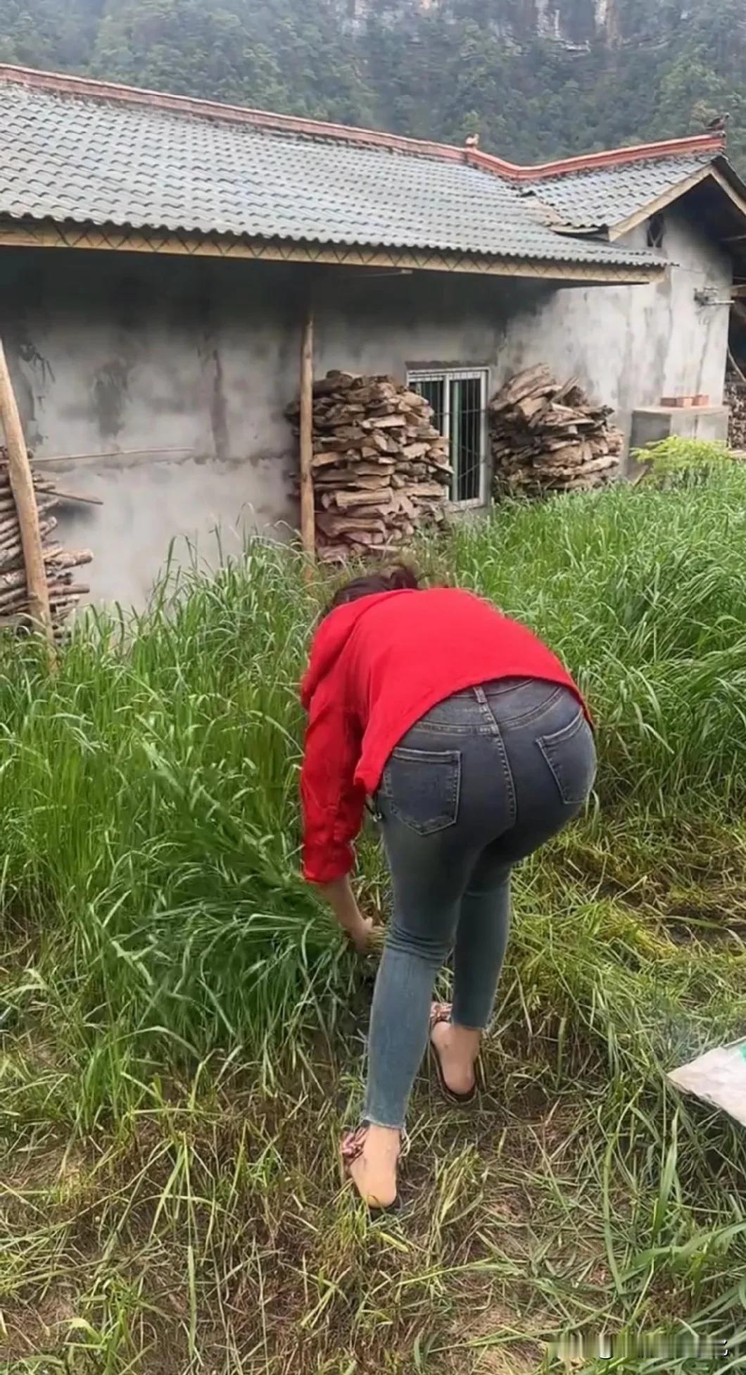 生活在农村，感觉很踏实，生活就是生活