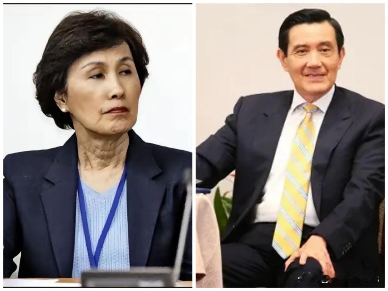 “这个瓜吃的有点大了”，前脚国民党前主席朱立伦在社交媒体上表示，他提前给他的老上