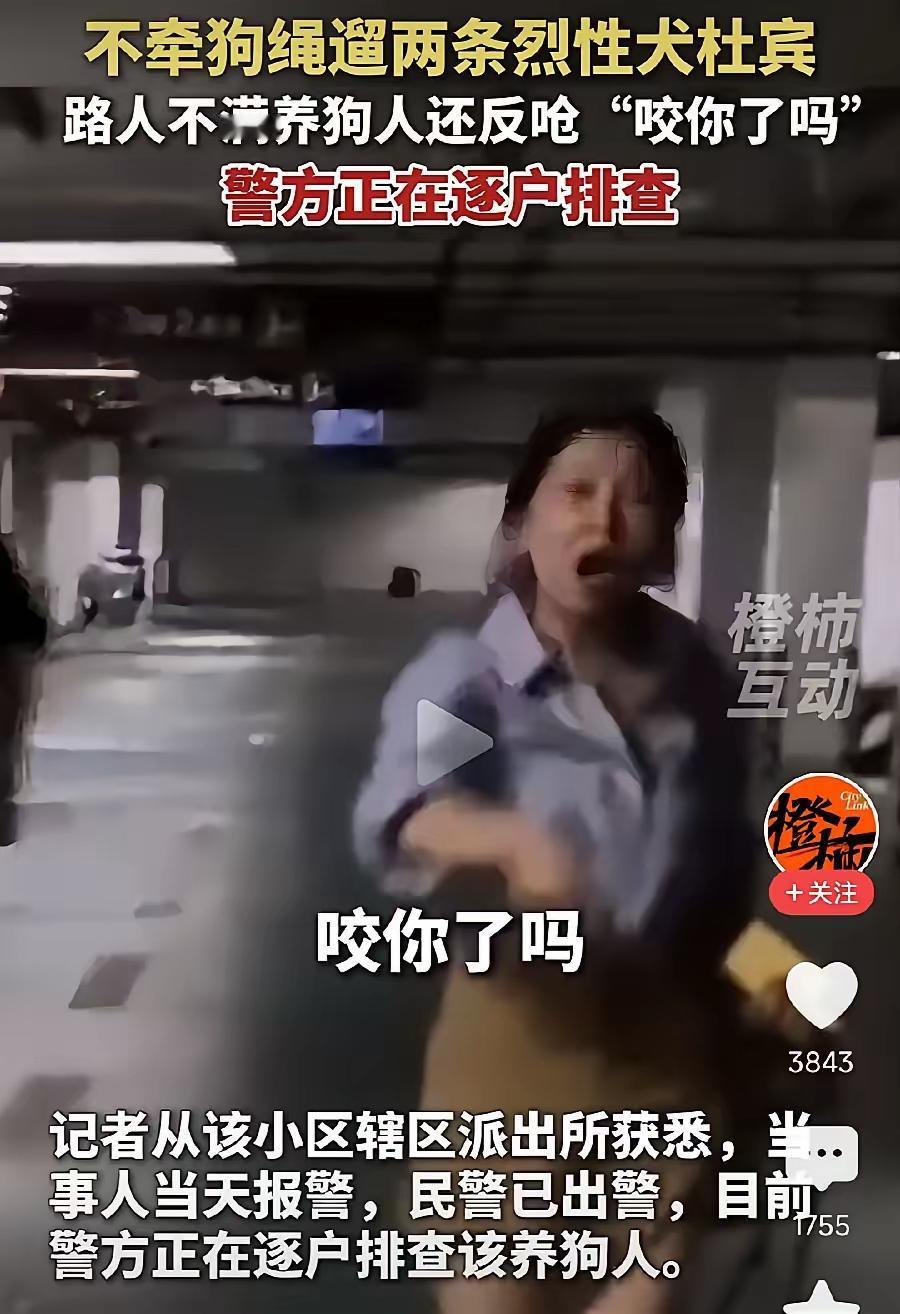 狗主人为什么如此嚣张？因为她知道她的犯罪成本很低！
要解决这种人的嚣张其实很简单