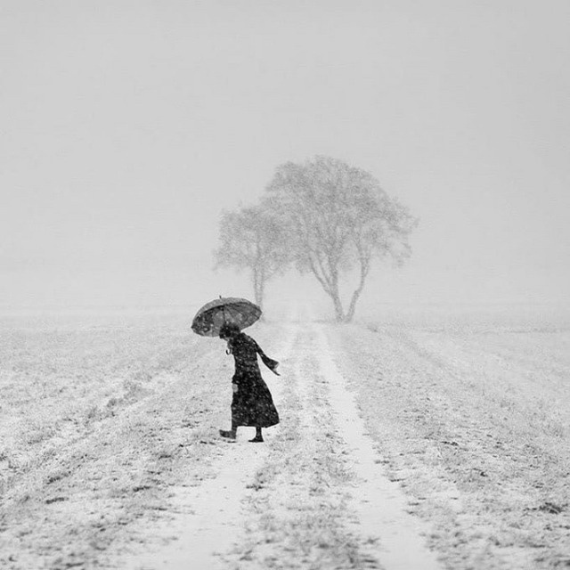 努力不一定能实现一切，但它能告诉你，你最远到哪里。 