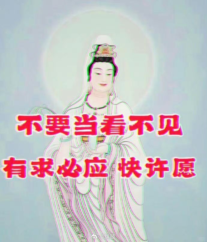 有求必应 快许愿🙏 