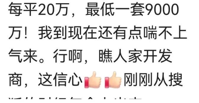 资深媒体人胡锡进路过一楼盘，打售楼电话寻问房价，他说，听完房价人几乎被惊得晕过去