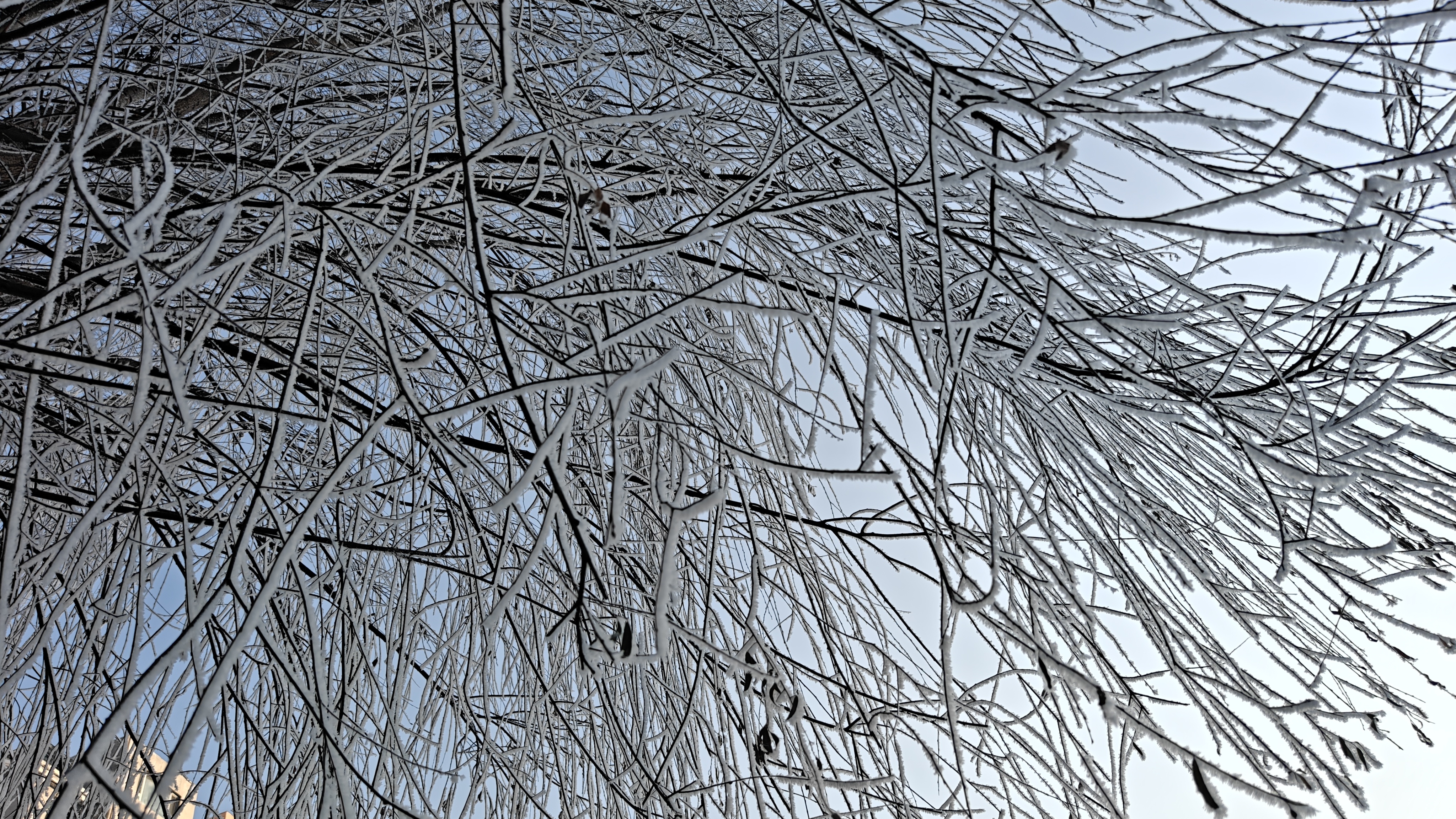 结婚的好处只有幸福的人说得出来两个女同事前后脚生了娃，一个生完孩子不久就离婚了，