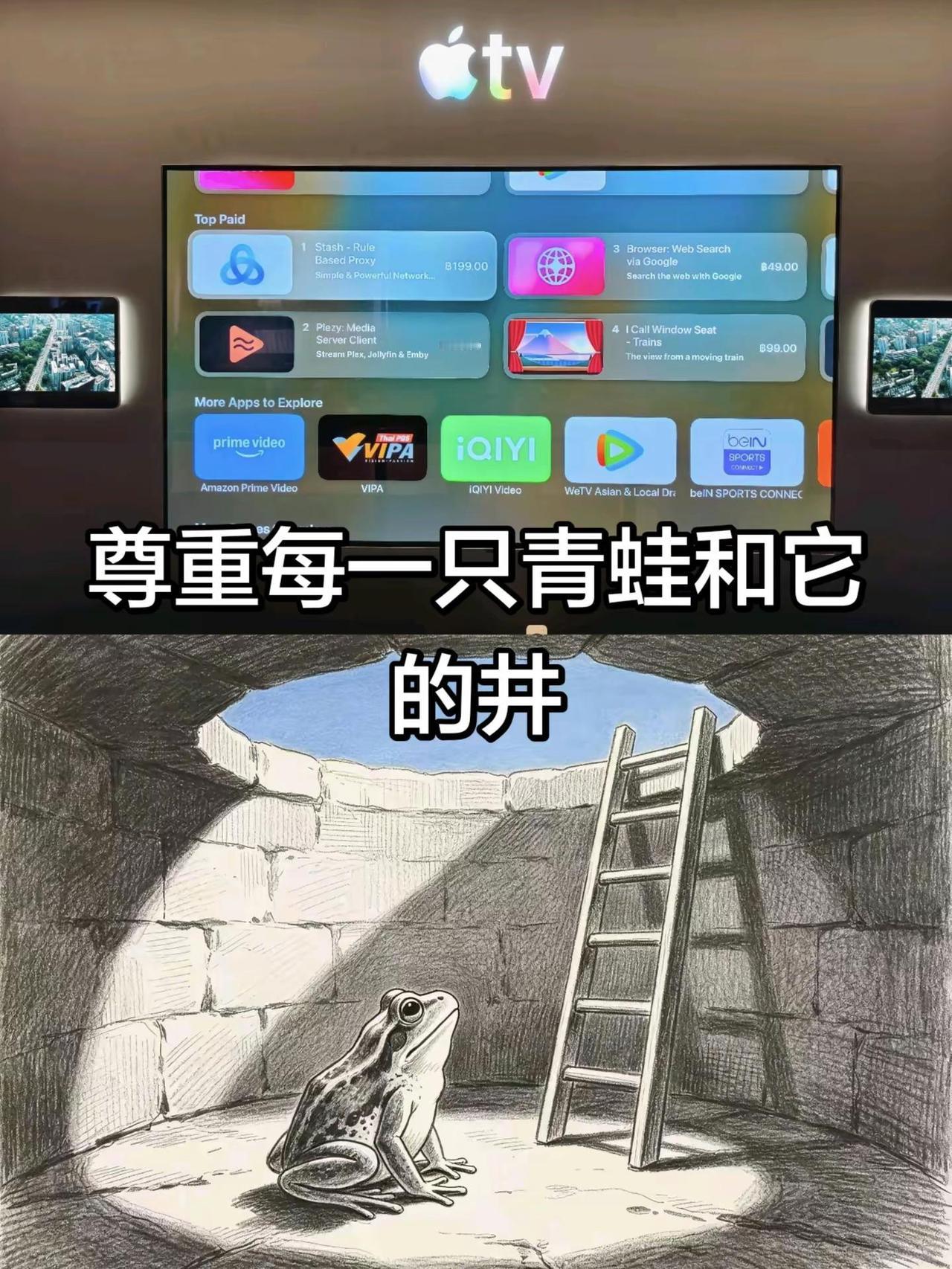 不要过度介入他人因果！美国 apple 山姆 特斯拉