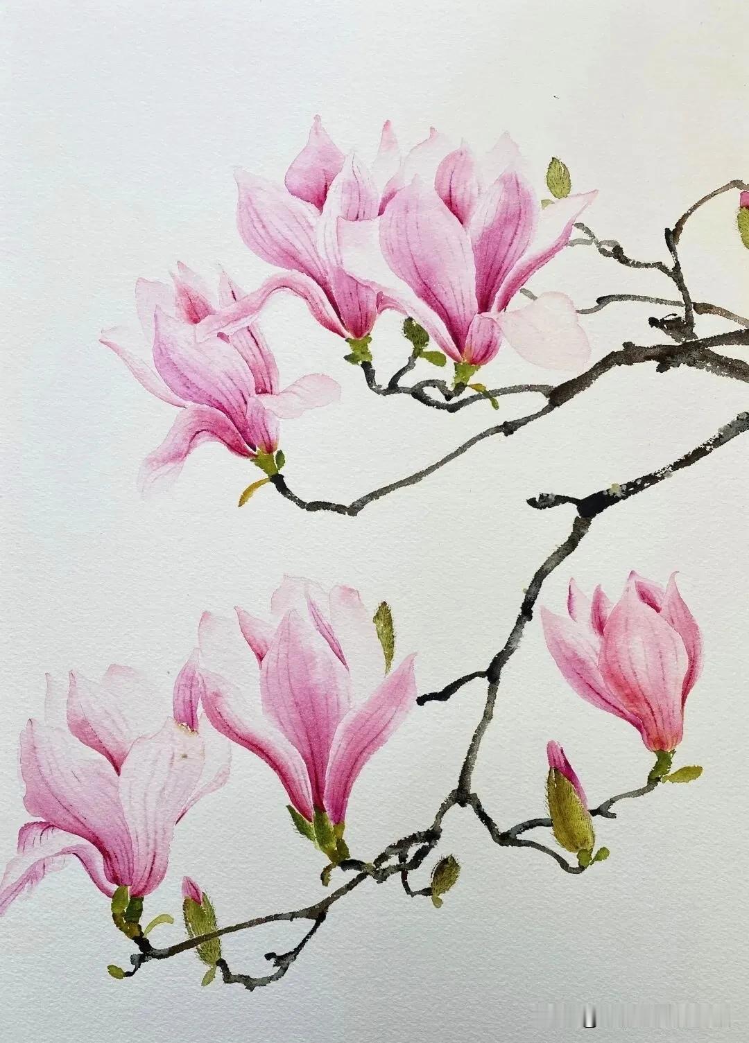 百花齐放，百家争鸣。