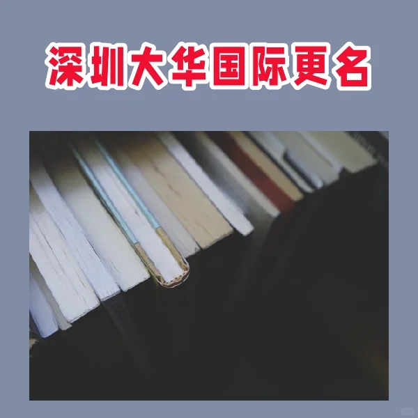 深圳大华国际更名
