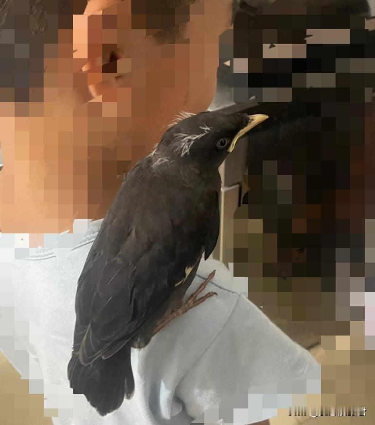 不结婚、不领证，出生证明上没有生父的名字，这样的孩子是分不到遗产的。一女子，40