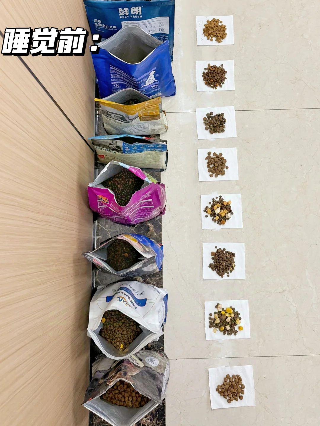 天呐！睡了一觉就知道给狗狗吃什么狗粮了