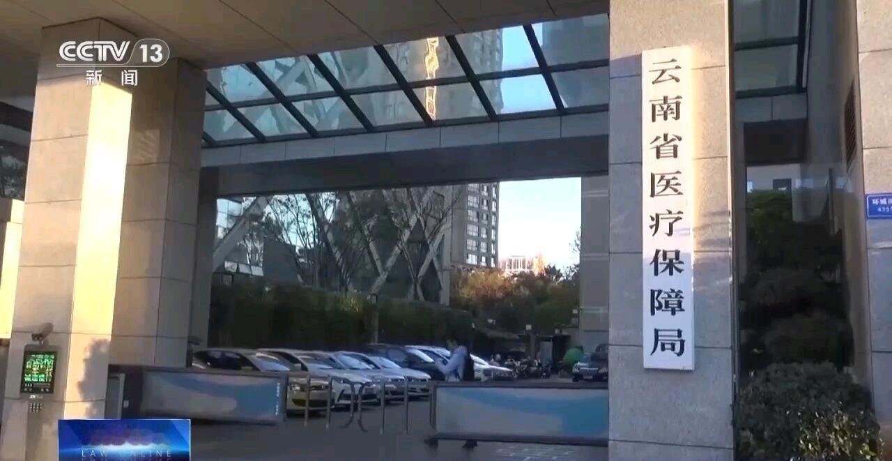 15人公司13人集体怀孕骗保百万！生育津贴成了骗子的提款机
 
        