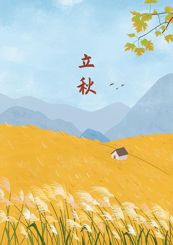 立秋对农业那可太重要啦！农民把立秋往后这段时间叫“秋粮产量形成的关键窗口期”。2