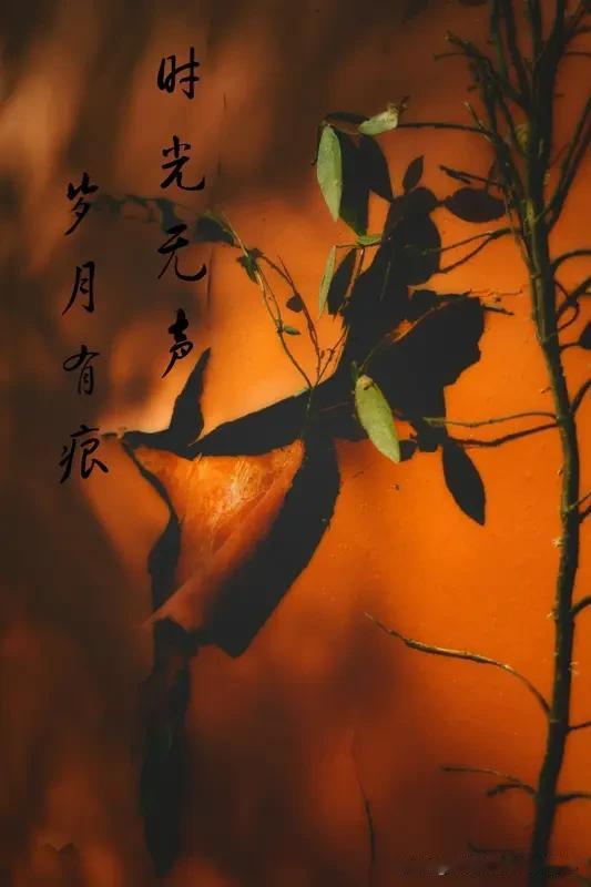 老翁打油诗《岁月感慨》
人生路上急匆匆，
走快走慢不由衷。
古人曾见今时月，
今