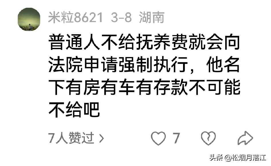 何洁为什么不向赫子铭追讨孩子的抚养费？

赫子铭昨天开播，有人问他给没给何洁那两