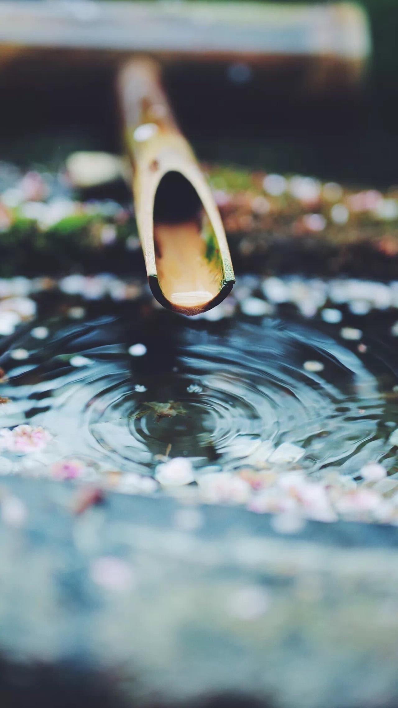 人生知止而乐。“乐不可极，乐极生悲；欲不可纵，纵欲成灾；酒饮微醉处，花看半开时。