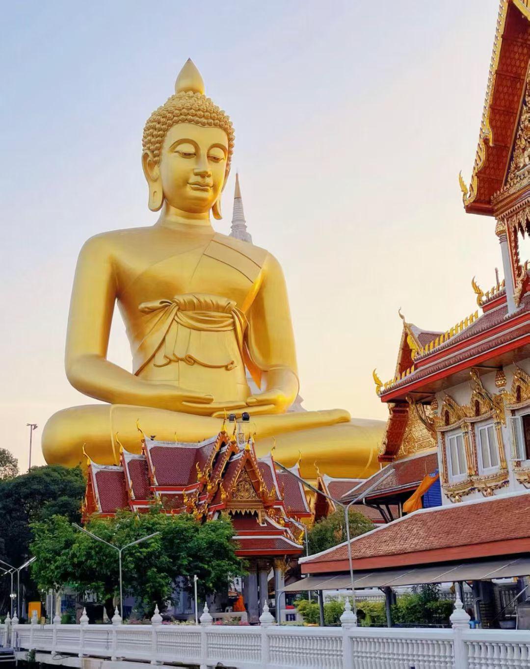 慈悲看因果，身边即菩萨

曼谷的阳光总是带着一种近乎神圣的通透感，将爱侣湾那尊四