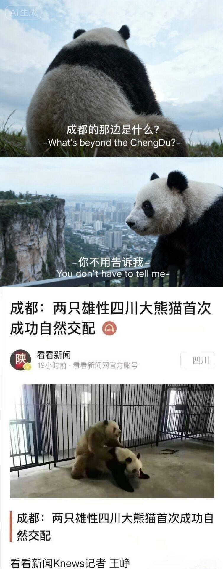 ？ ​​​