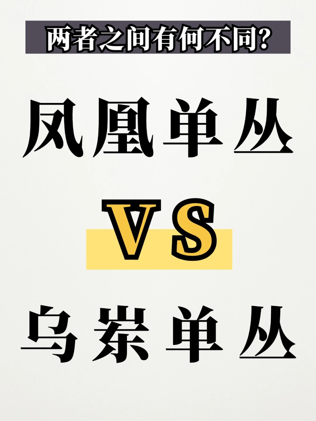 凤凰单丛跟乌岽单丛有什么不同？