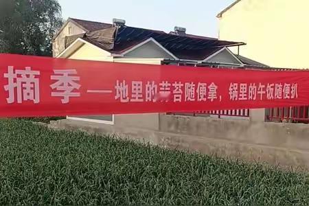 走！五一抽蒜苔去
近日，江苏火了一农活，那就是免费抽蒜苔，只要你来农户地里抽蒜苔