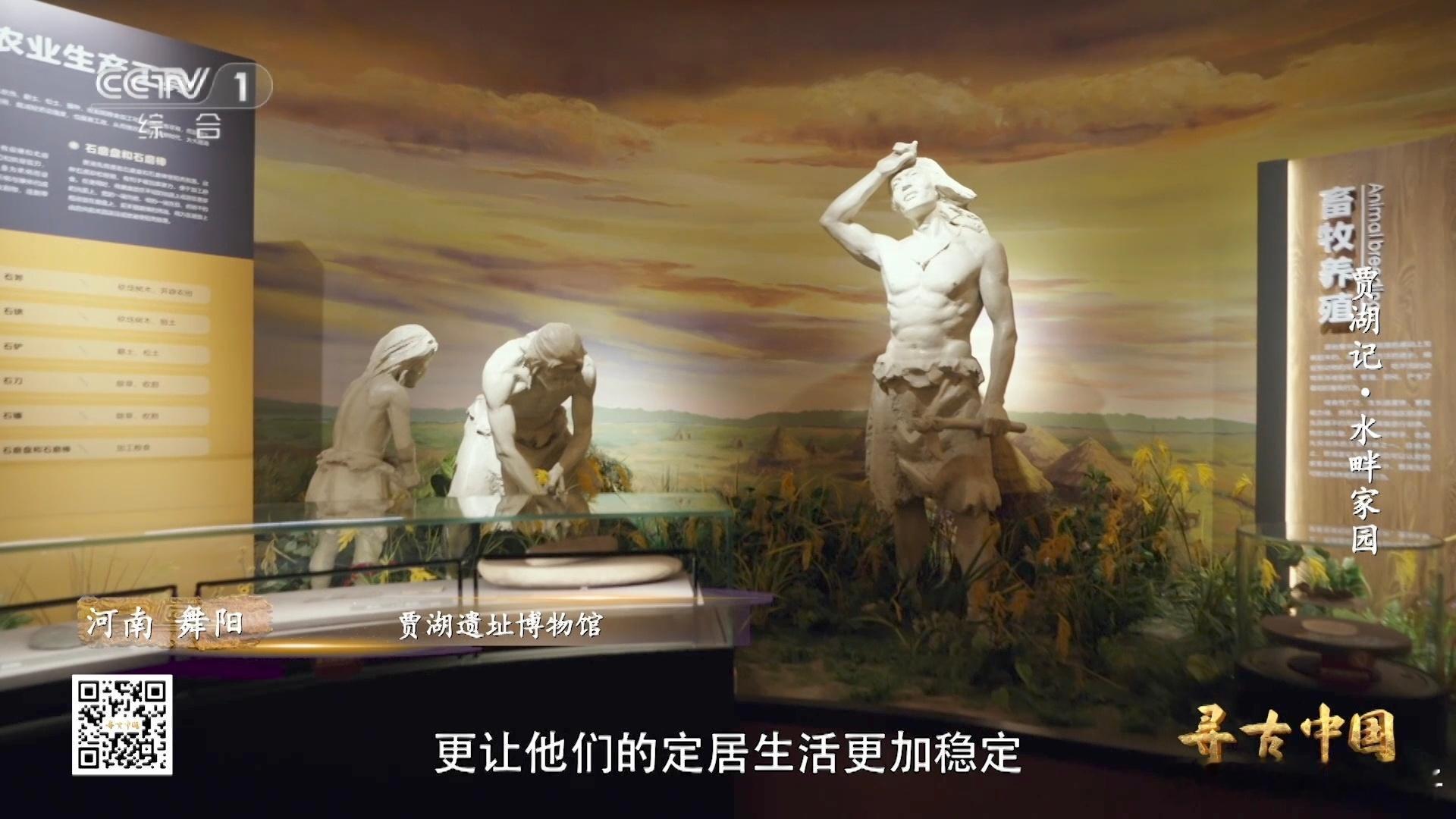 8000年前的稻谷什么样寻古中国真的太会挖历史宝藏了，聚焦贾湖遗址的稻作文明，把