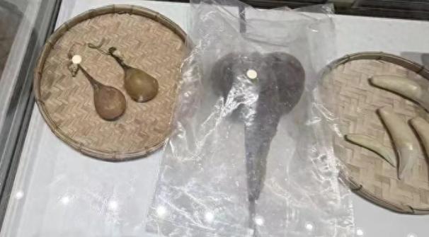 “警惕！”耗费百万购置保险，换来所谓“免费VIP老挝游”，实则是一场处心积虑的“