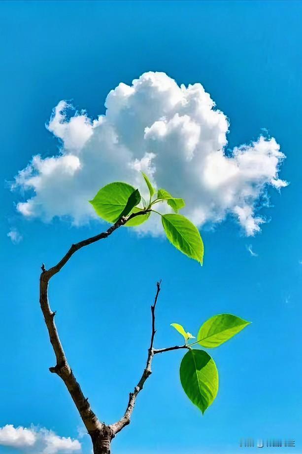 找伴侣，一定要挑打心底看得起你的人。

不是等你有钱有本事，混出个人样，才对你笑
