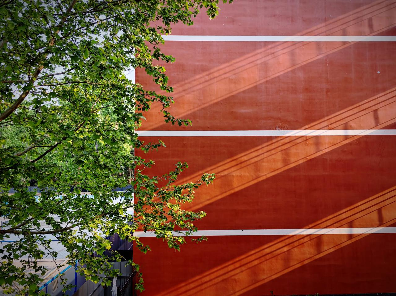 清晨的阳光洒在学校红墙上，绿树掩映，自然与建筑完美融合。红墙春景