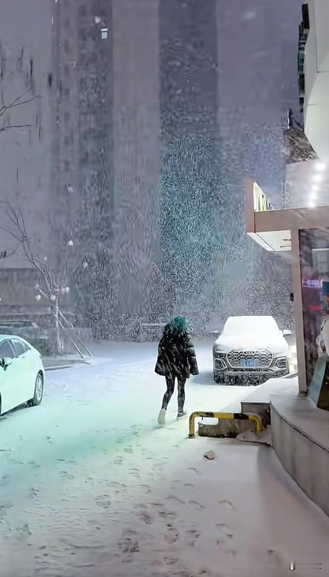 2025年的第一场雪，
确实比以往来得更晚一些。
不过每次下第一场雪，
内心都是