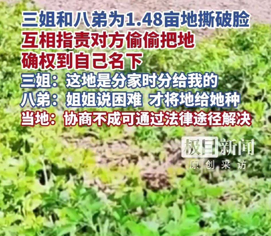 姐弟两人为争夺财产反目成仇！
多少财产：1.48亩土地。

9月17日，驻马店村