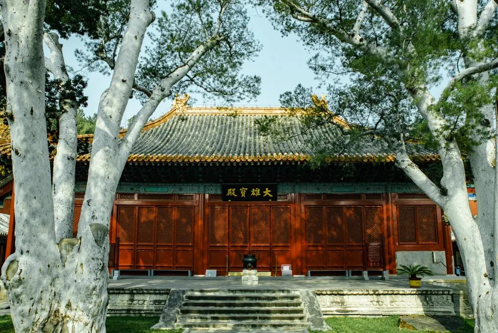解锁抽签新地标：法海寺壁画博物馆 ​​​