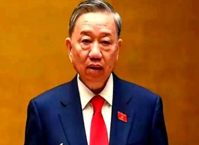 越南这次真是把“反复无常”演绎到了极致！日本驻越大使直接摊牌，百亿美元的宁顺2号
