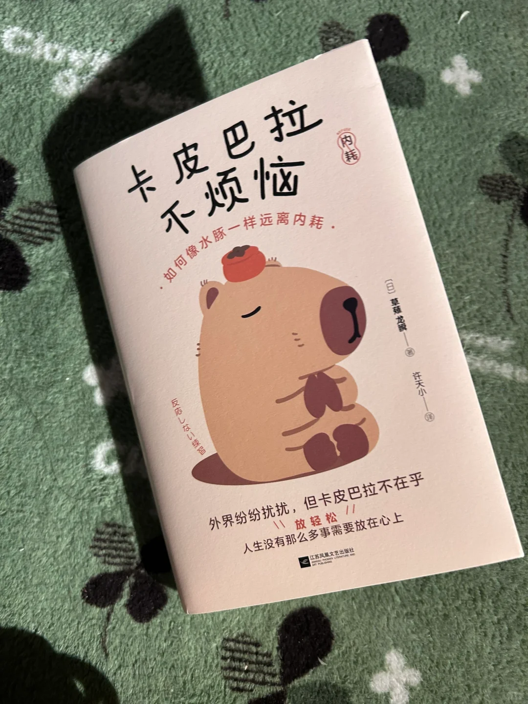 看了这本书，我再也不内耗了