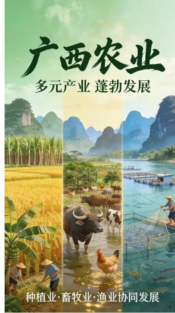 【2025年广西农民收入历史性迈过2万元大关！】

人均可支配收入达21149元