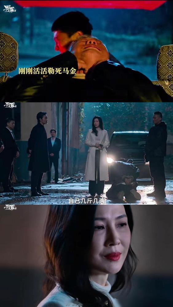 刚刚看完由黄景瑜、王传君主演的刑侦剧《罚罪2》第十三、十四集，马金、罗博下线，黑