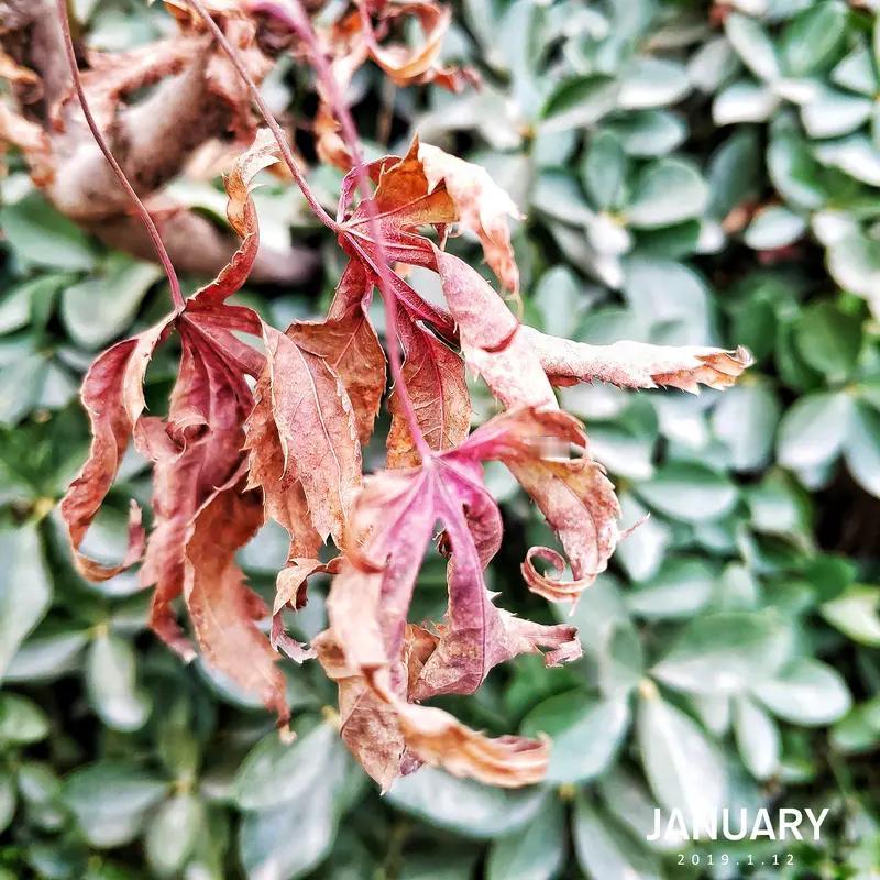 上联：时光不复春秋过；求一下联年华易逝岁月亏