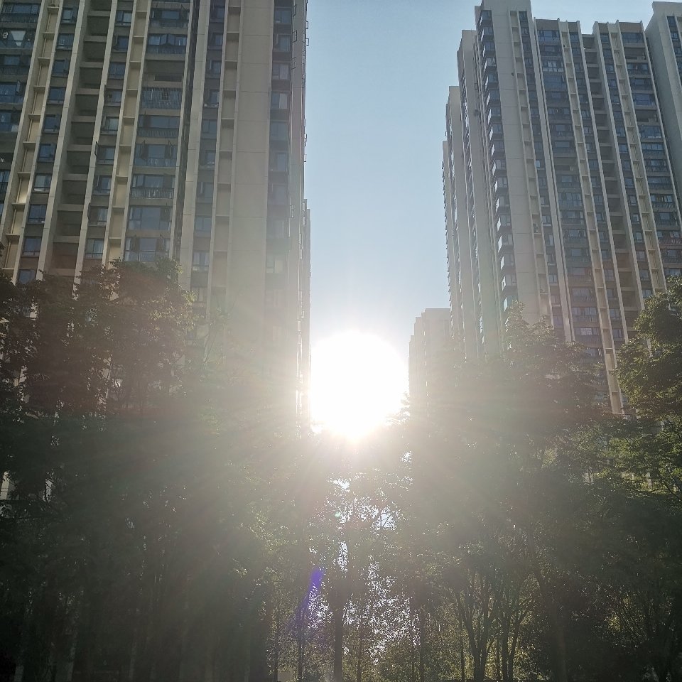 随手拍风和日丽 ​​​