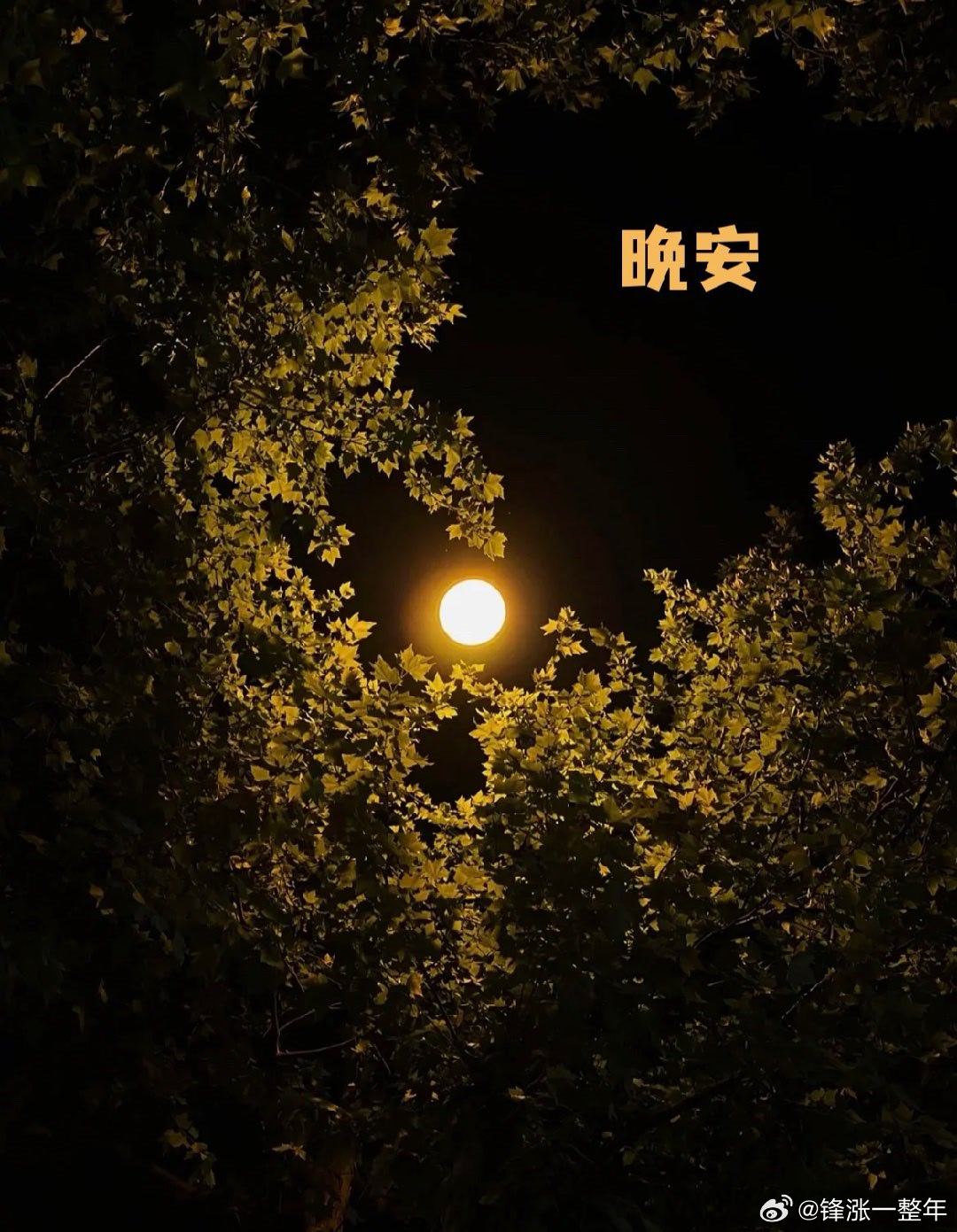 晚安😴😴好梦 