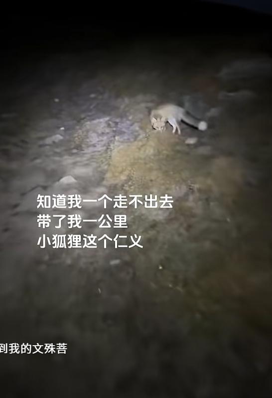“鸡皮疙瘩起来了！”一男子晚上徒步五台山，在半山腰迷路，还碰到手机没电，男子正绝