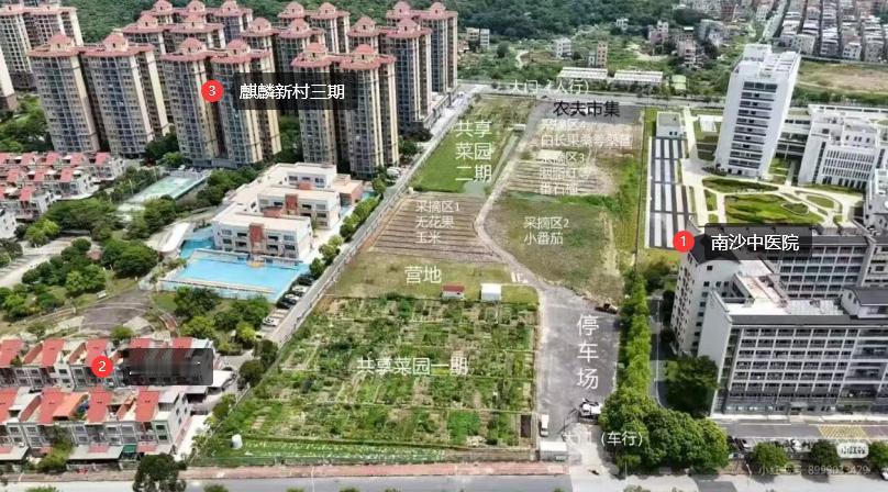 【会成又一个南涌口网红摆摊区吗？黄阁农夫市集重磅开业】黄阁之前的南涌口网红摆摊区