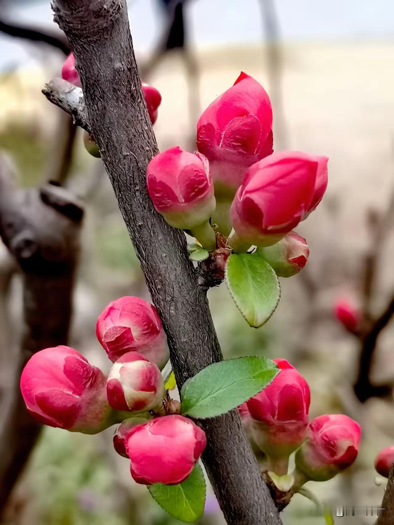 今年立春不一般，如果你是小孩，你再次遇到和今年一样的立春你可能就是个老人呢!
